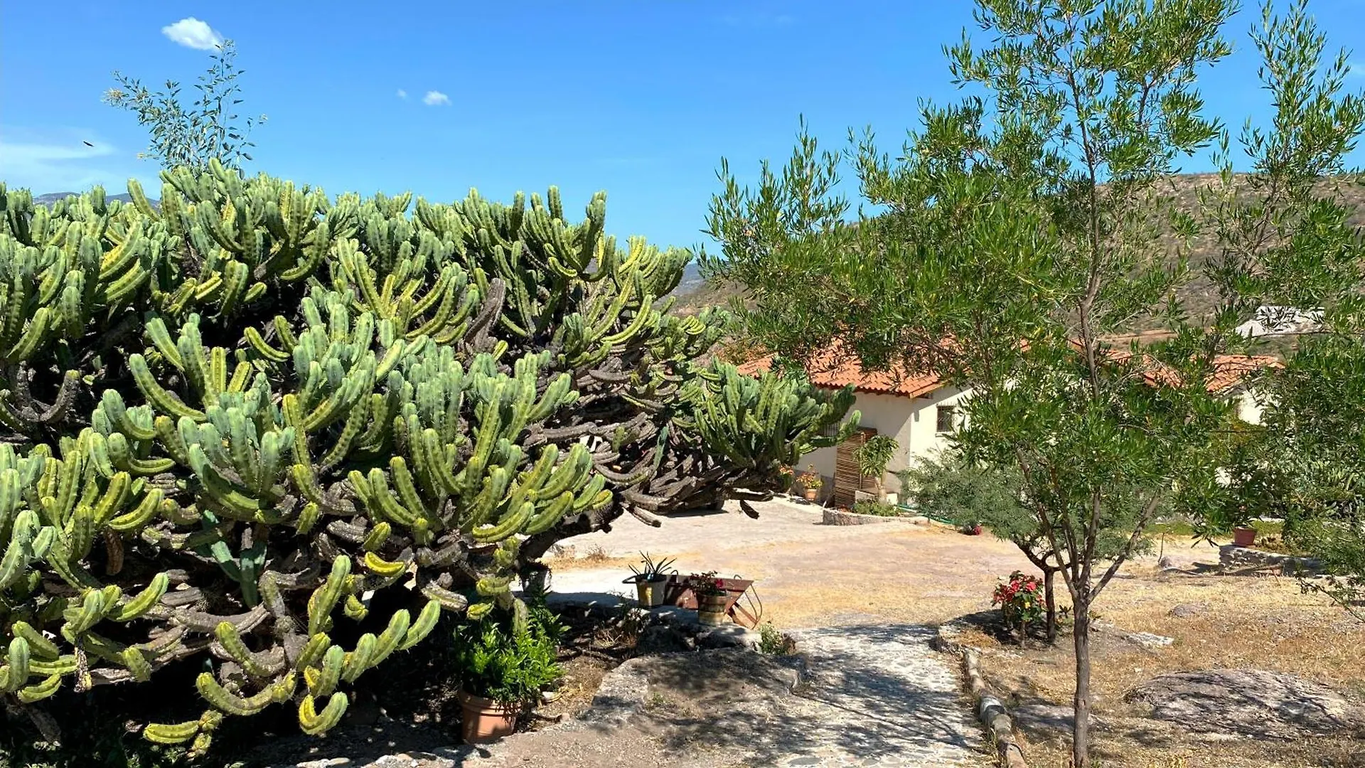 Villa Campestre La Soledad - Hivenb Queretaro Lodge